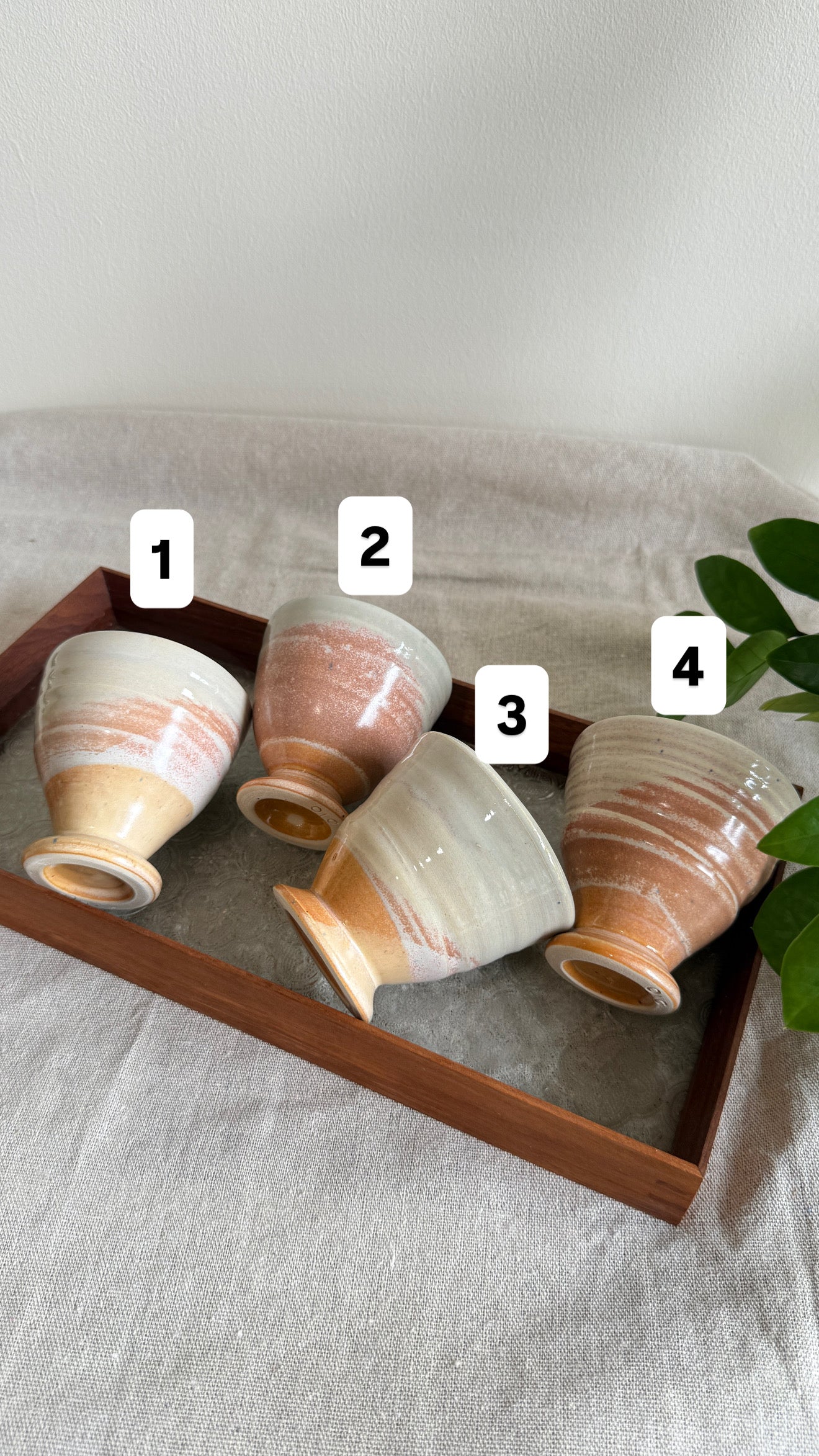 Footed Cup (Pinky shade x 4 designs)