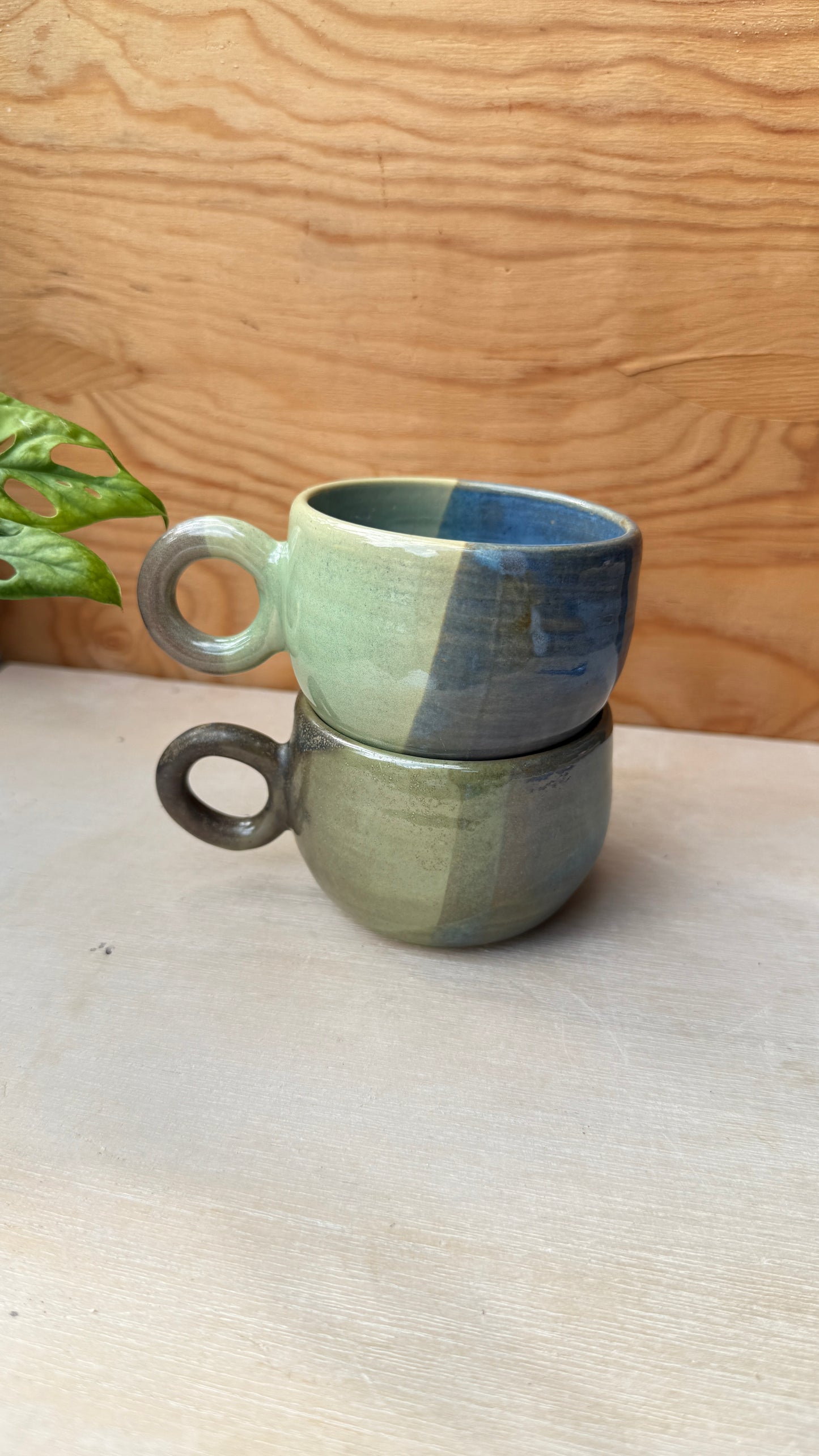Moss & Tide (2 designs)