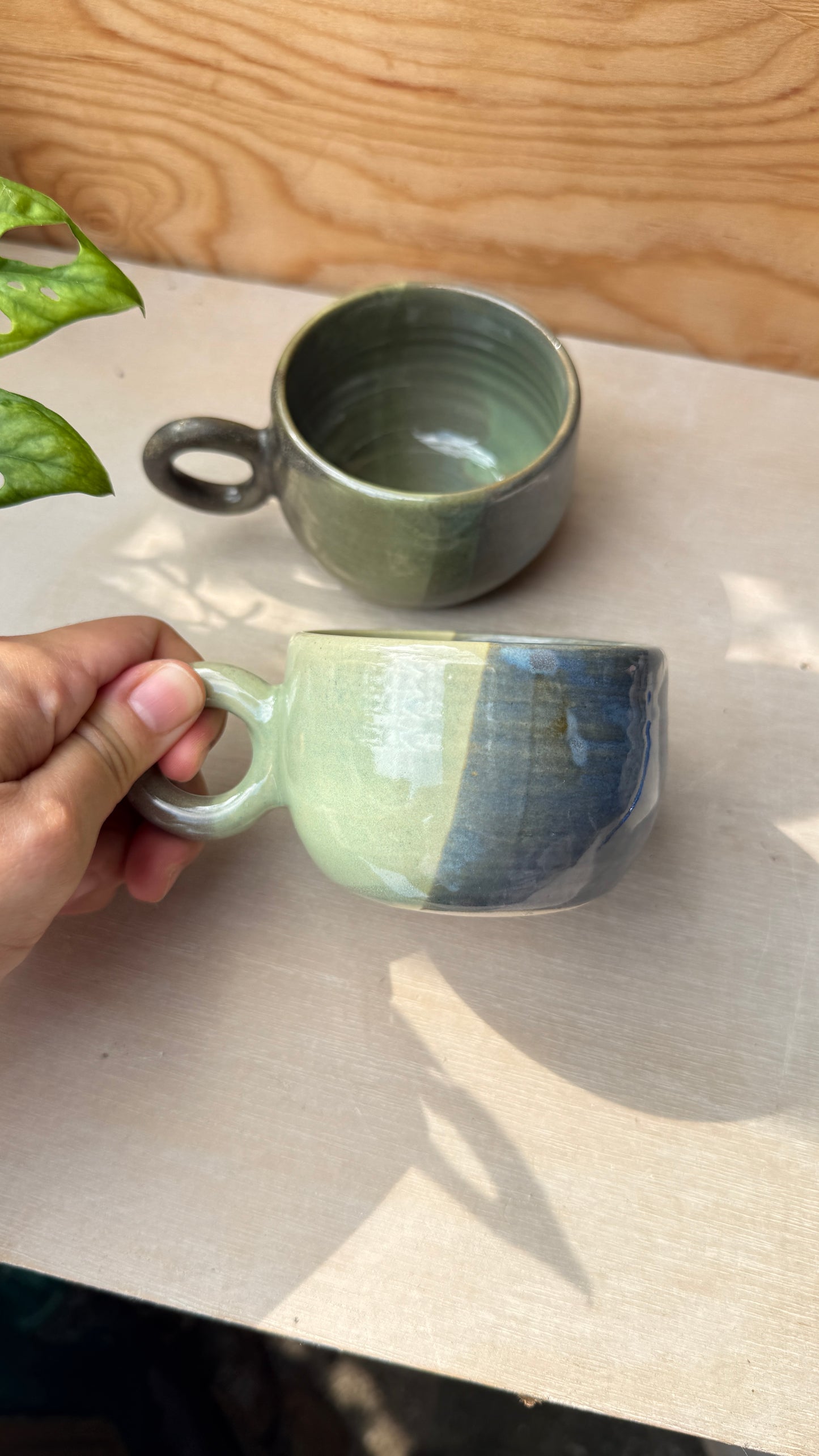 Moss & Tide (2 designs)