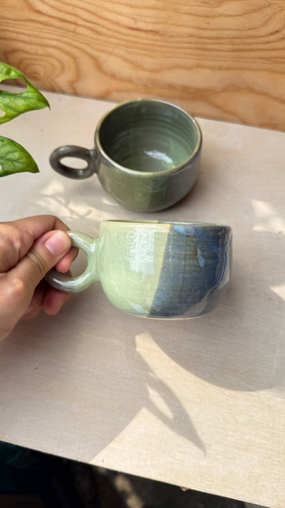 Moss & Tide (2 designs)