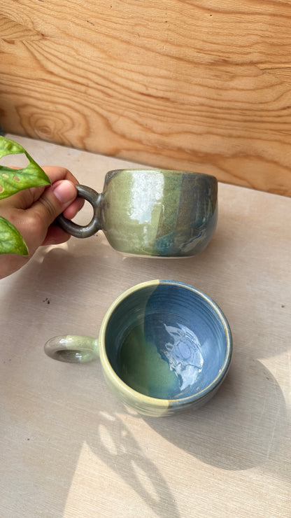 Moss & Tide (2 designs)