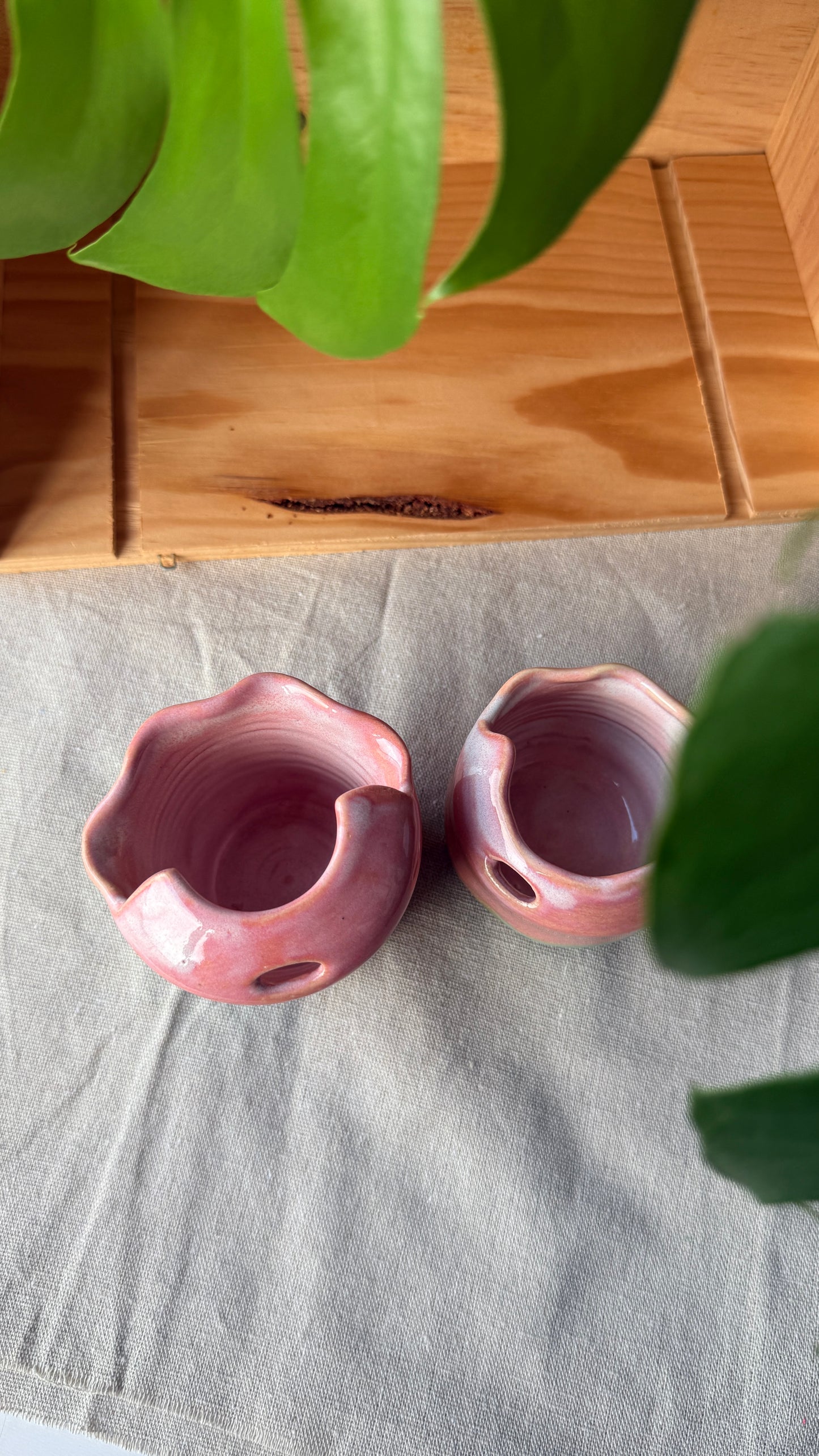 To go cup (2 sizes)