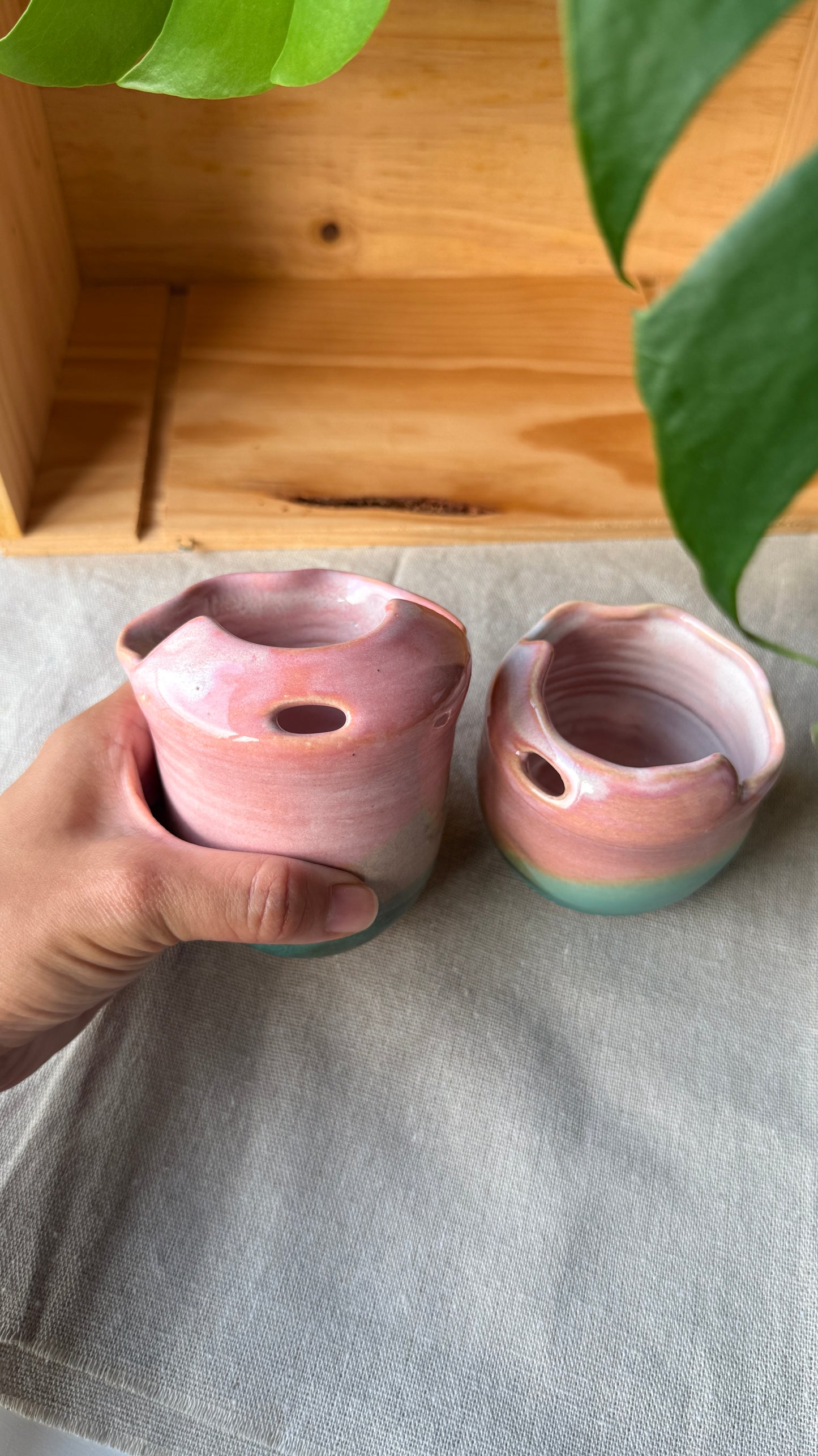 To go cup (2 sizes)